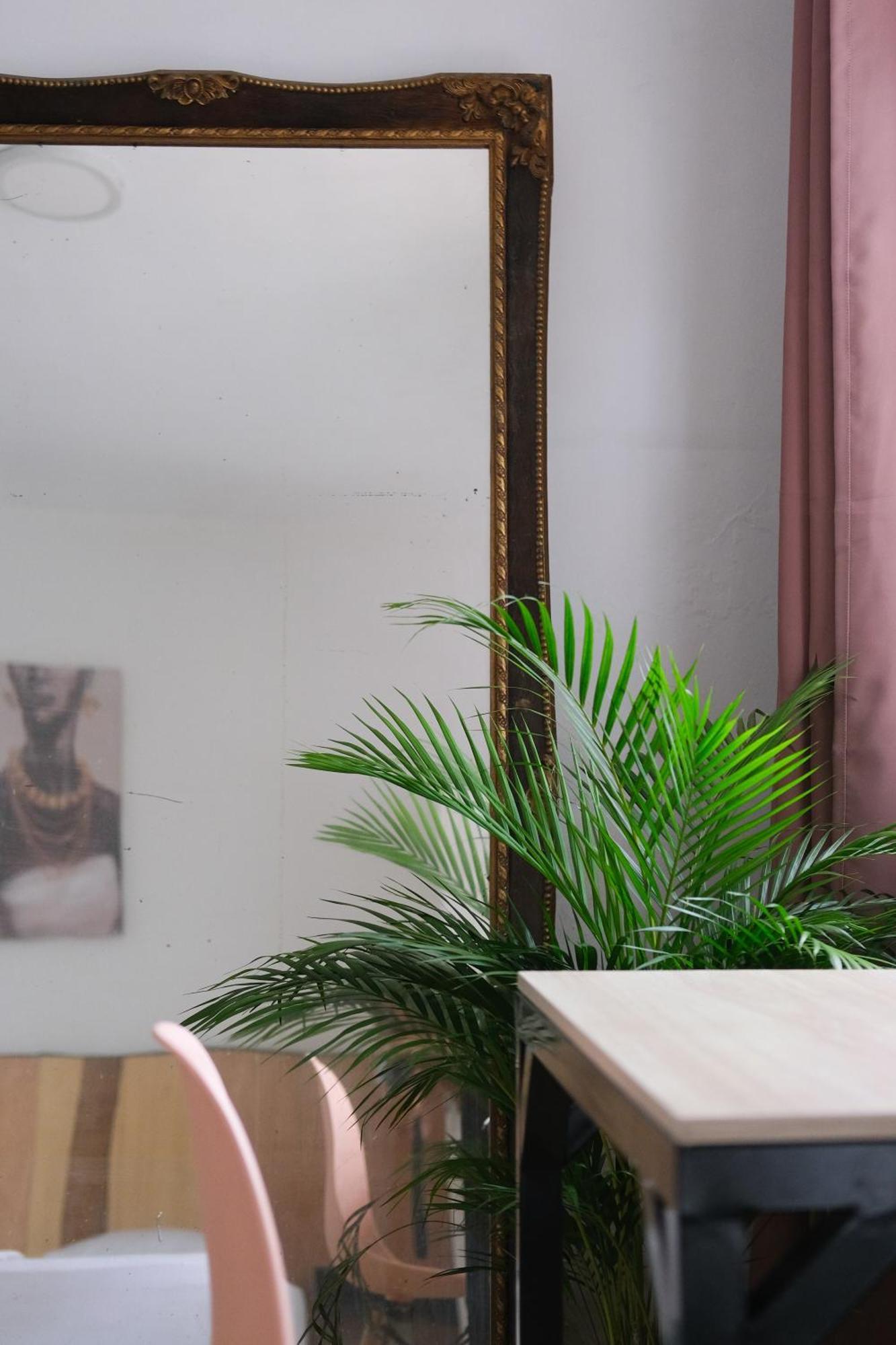 קאלי La Palmera Hostel מראה חיצוני תמונה