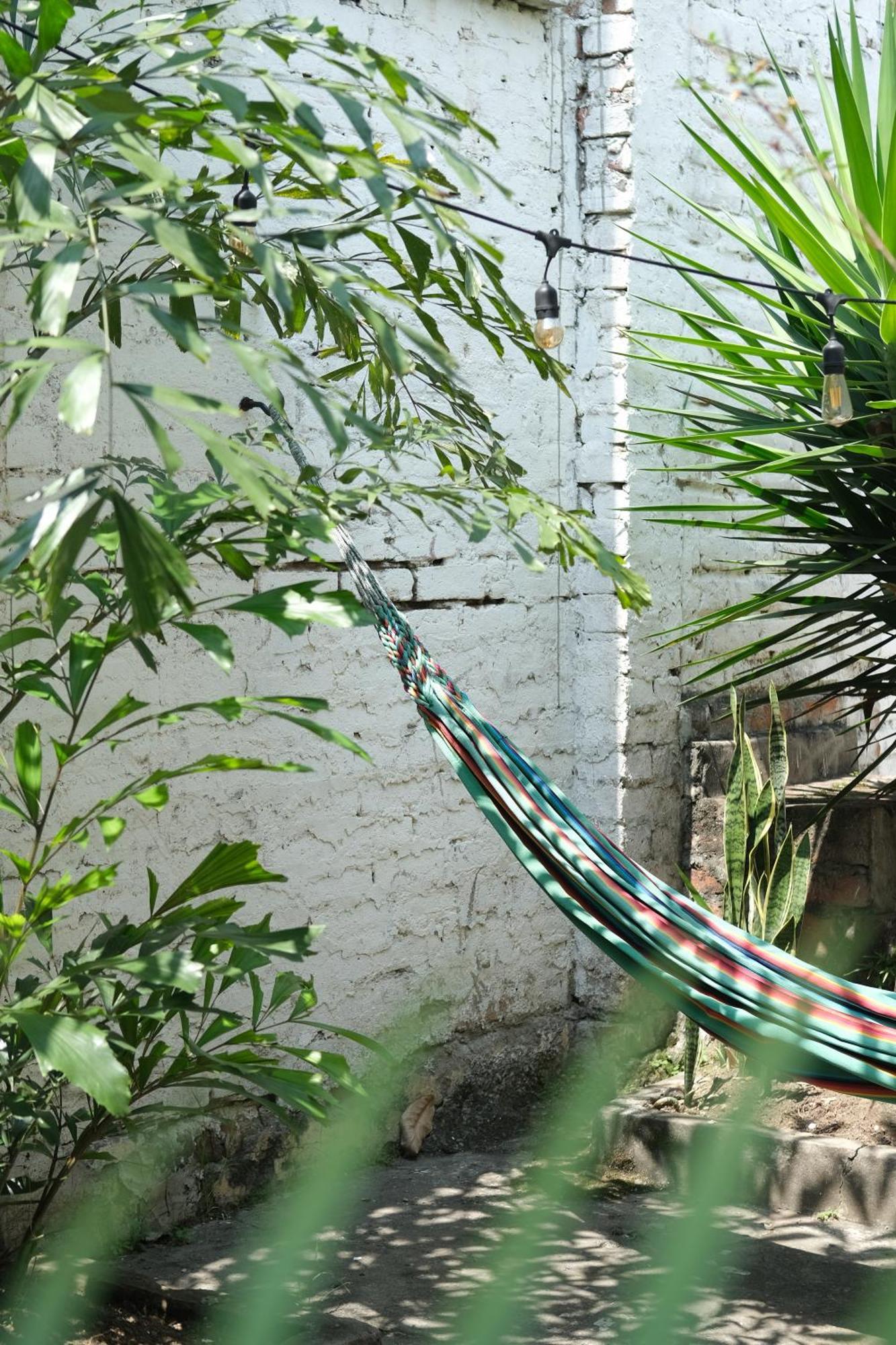 קאלי La Palmera Hostel מראה חיצוני תמונה